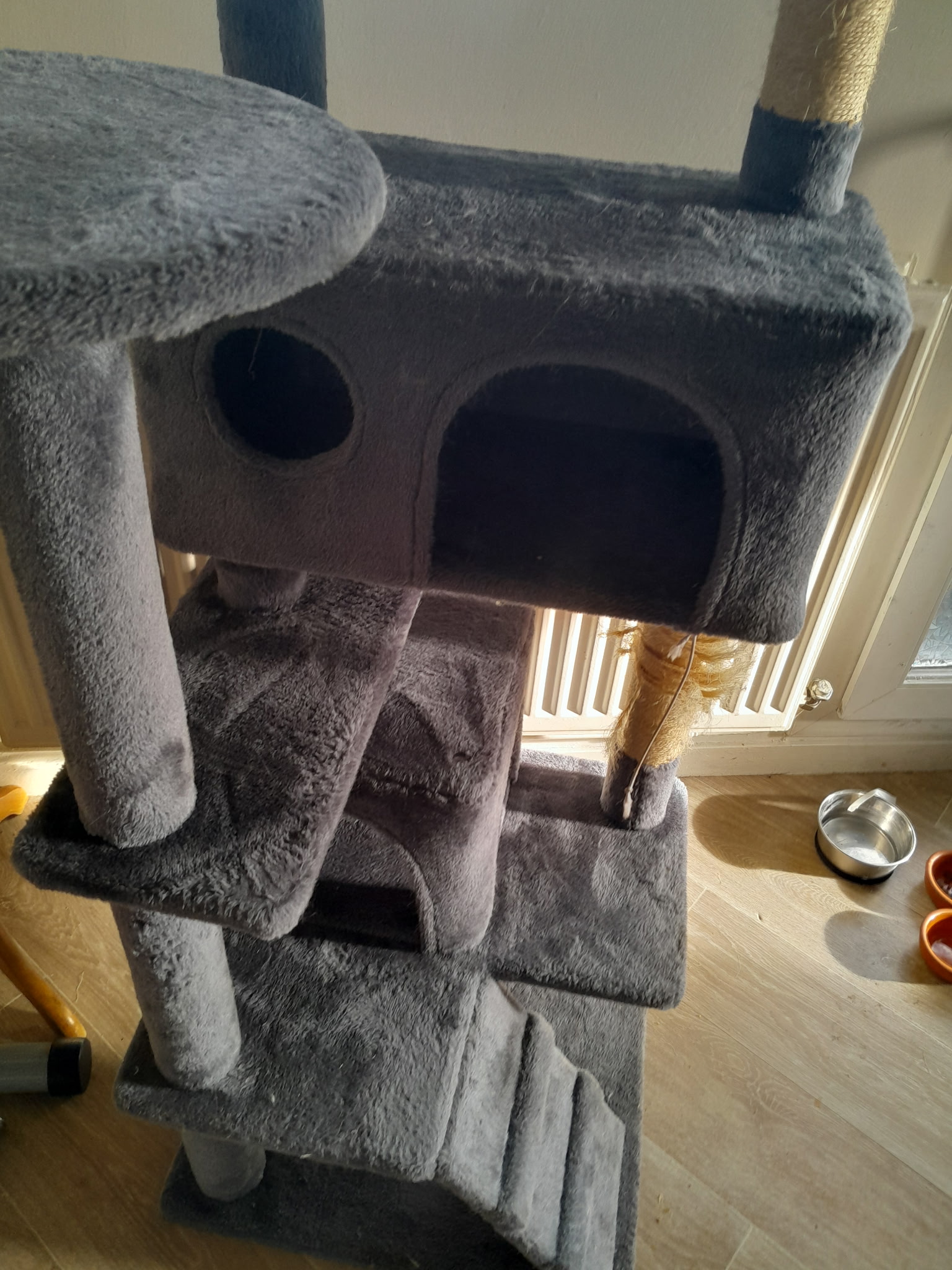Avant – Entretien et nettoyage d’un arbre à chat