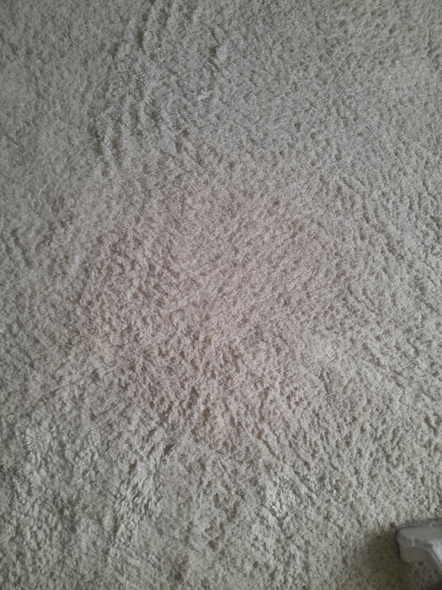 Nettoyage de tapis & textiles d’ameublement